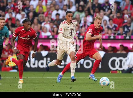 Munich, Allemagne. 1er septembre 2024. Jamal Musiala (C), du Bayern Munich, fait une percée lors du match de football de première division allemande de la Bundesliga entre le Bayern Munich et le SC Freiburg à Munich, Allemagne, le 1er septembre 2024. Crédit : Philippe Ruiz/Xinhua/Alamy Live News Banque D'Images