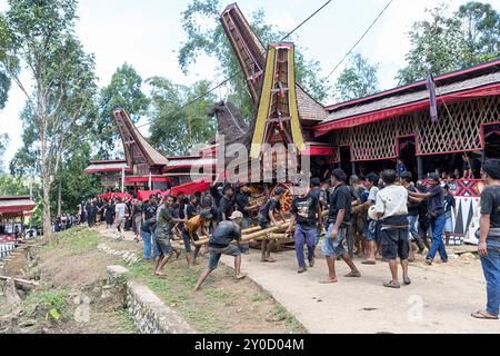 Cérémonie funéraire dans un village près de Rantepao à Tana Toraja, des hommes locaux portant un cercueil, le corbillard en forme de maison traditionnelle, Sulawesi Banque D'Images