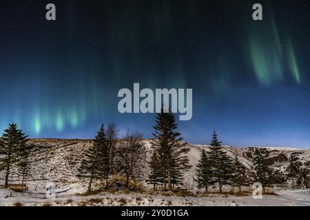 Belle image d'une aurore boréale verte et multicolore, Aurora Polaris, également connue sous le nom de aurores boréales dans le ciel nocturne au-dessus de l'Islande Banque D'Images