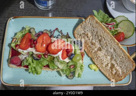 Fromage de brebis gratiné avec pain grillé servi sur un plateau dans un café, Franconie, Bavière, Allemagne, Europe Banque D'Images