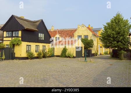 Une rue pavée bordée de maisons jaunes et une seule maison noire dans un charmant quartier résidentiel calme avec arbres et verdure, Dragor, Hovedsta Banque D'Images