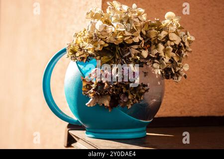 Bouquet de fleurs beiges d'hortensia séchées dans un pot bleu fleurs vintage dans une vieille théière contre mur orange dans la maison rurale Provence composition florale Banque D'Images