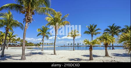 La plage ronde à Matheson Hammock Park Comté Miami Floride Banque D'Images