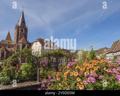 Vue d'un parterre de fleurs avec une église historique et des maisons colorées en arrière-plan, Weissenburg, Alsace, France, Europe Banque D'Images