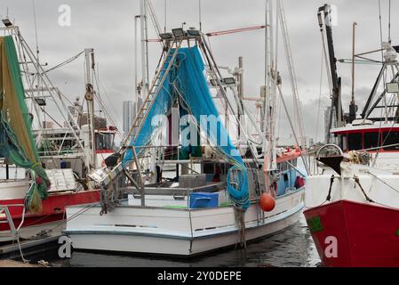 Southport, Gold Coast, Queensland, Australie, 14 août 2024. chalutier de pêche a accosté au quai de pêche de la Gold Coast. Banque D'Images