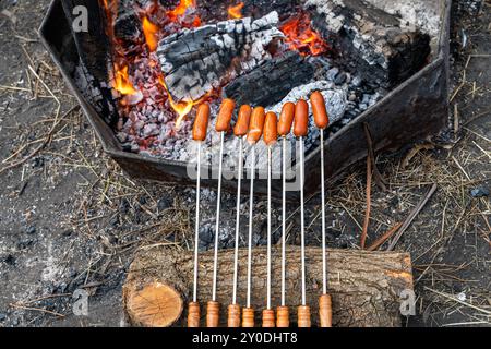 Saucisses barbecue de feu de camp cuisant sur des brochettes de bâtons dans le terrain de camping de la forêt de Kuitpo, Australie méridionale Banque D'Images