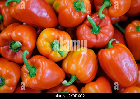poivrons rouges exposés dans la boutique Banque D'Images