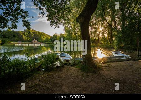 Lever de soleil au lac Swanbourne, Arundel, West Sussex, Angleterre, Royaume-Uni Banque D'Images