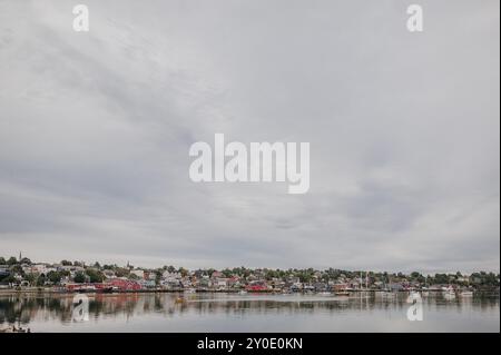 Un dory jaune qui pagaie dans le port de Lunenburg Banque D'Images