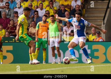 Lewis Travis Capitaine de Blackburn Rovers - Norwich City v Blackburn Rovers, Sky Bet Championship, Carrow Road, Norwich, Royaume-Uni - 17 août 2024 usage éditorial uniquement - des restrictions DataCo s'appliquent Banque D'Images