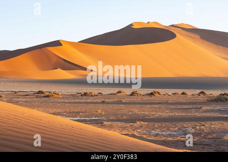 Deadvlei en Namibie est le site de squelettes vieux de 800 ans Banque D'Images