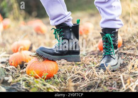 Agriculture et récolte d'automne. Fermière femme tenant une grande citrouille dans le champ de maïs. un pied dans une chaussure noire se tient sur une citrouille orange dans un champ d'automne. Banque D'Images