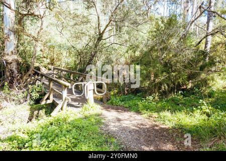 Réserve linéaire de Mt Evelyn Aqueduct Trail à Melbourne en Australie Banque D'Images