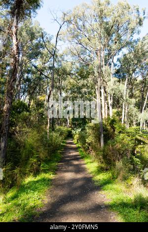 Réserve linéaire de Mt Evelyn Aqueduct Trail à Melbourne en Australie Banque D'Images