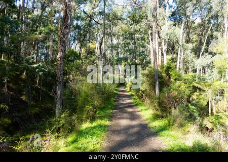 Réserve linéaire de Mt Evelyn Aqueduct Trail à Melbourne en Australie Banque D'Images