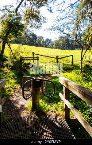 Réserve linéaire de Mt Evelyn Aqueduct Trail à Melbourne en Australie Banque D'Images