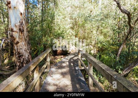 Réserve linéaire de Mt Evelyn Aqueduct Trail à Melbourne en Australie Banque D'Images