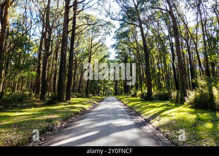 Silvan Rd à Melbourne en Australie Banque D'Images