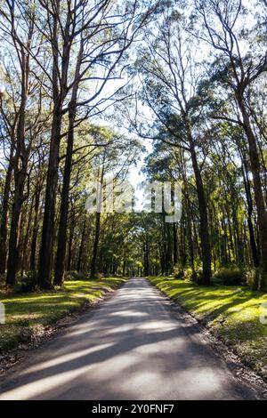 Silvan Rd à Melbourne en Australie Banque D'Images