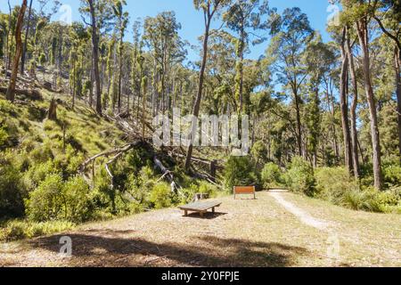 Aire de pique-nique de Nolans Creek en Australie Banque D'Images