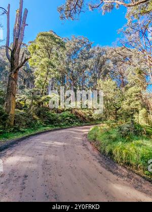 Basin Olinda Rd à Melbourne en Australie Banque D'Images