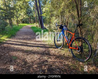 Réserve linéaire de Mt Evelyn Aqueduct Trail à Melbourne en Australie Banque D'Images