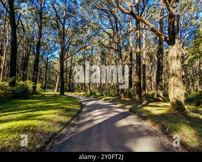 Silvan Rd à Melbourne en Australie Banque D'Images