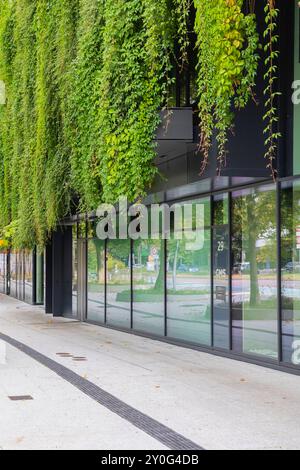 Calwer passage, Grüne Fassade für embrases Stadtklima. Vom Büro ingenhoven Associates Stammen die Entwürfe für die Fassade. Eigentümer ist die Versicherungskammer München. Ankermieter ist die Anwaltskanzlei CMS. // 17.08.2024 : Stuttgart, Baden-Württemberg, Deutschland *** passage Calwer, façade verte pour un meilleur climat urbain la façade a été conçue par ingenhoven Associates le propriétaire est Versicherungskammer München le locataire principal est le cabinet d'avocats CMS 17 08 2024 Stuttgart, Baden Württemberg, Allemagne Banque D'Images