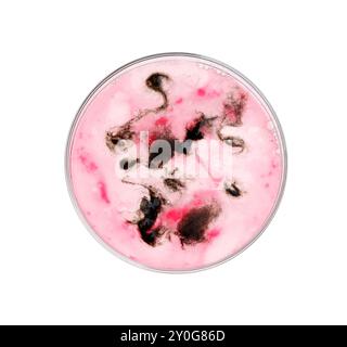 Boîte de Pétri avec bactéries isolées sur blanc, vue de dessus Banque D'Images