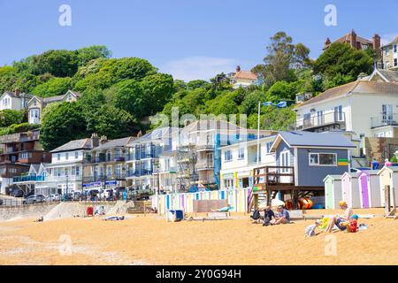 Île de Wight Ventnor - plage de Ventnor et cabanes de plage avec des personnes bronzant promenade Ventnor Esplanade Ventnor Île de Wight Angleterre Royaume-Uni GB Europe Banque D'Images