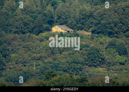 Einsames gelbes Haus inmitten dichter Wälder Idyllische Landschaft , Deutschland, 02.09.2024, Ein einzelnes gelbes Haus liegt malerisch auf einem bewaldeten Hügel, umgeben von dichtem Wald. Die Szenerie vermittelt Ruhe und Abgeschiedenheit inmitten der Natur. *** Maison jaune solitaire au milieu de forêts denses paysage idyllique , Allemagne, 02 09 2024, Une seule maison jaune est pittoresque situé sur une colline boisée, entouré d'une forêt dense le paysage transmet la paix et l'isolement au milieu de la nature Banque D'Images