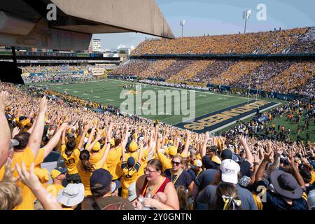 31 août 2024, Blank, Blank, États-Unis : août 31, 2024 : lors de la West Virginia University Mountaineers (WVU) contre la Penn State University Nittany Lions à Morgantown, WV au Milan Puskar Stadium. Bradley Martin/apparent Media Group (crédit image : © AMG/AMG via ZUMA Press Wire) USAGE ÉDITORIAL SEULEMENT! Non destiné à UN USAGE commercial ! Banque D'Images