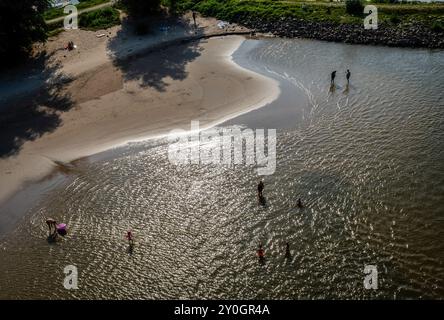 Nimègue, pays-Bas. 31 août 2024. On voit des gens s'amuser dans l'eau. Ce dimanche a été le plus chaud jamais enregistré dans le pays. Samedi également, les températures ont grimpé à 30 degrés dans de nombreux endroits. Les gens en ont profité pour profiter des sports de plein air et visiter la campagne ces derniers jours d'été. L'année dernière, il y avait sept records chauds et un record froid ; le tableau était similaire en 2022 et 2021. En 2020, il n'y avait pas de records de froid, mais moins de 14 pour des températures record. (Photo par Ana Fernandez/SOPA images/SIPA USA) crédit : SIPA USA/Alamy Live News Banque D'Images