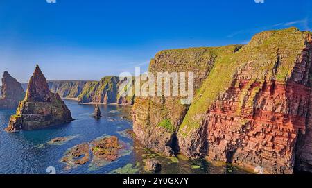 Duncansby Stacks trois pinacles rocheux au sud de Duncansby Head et les falaises colorées vues tôt le matin d'été Banque D'Images