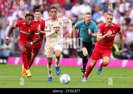 Munich, Deutschland. 01 Sep, 2024. firo : 09/01/2024, football, football, 1ère ligue, 1ère Bundesliga, saison 2024/2025, 2e journée, FC Bayern Munich - SC Freiburg 2:0, Jamal Musiala, FC Bayern Munich, FCB, Bayern, Munich, chiffre entier, crédit : dpa/Alamy Live News Banque D'Images