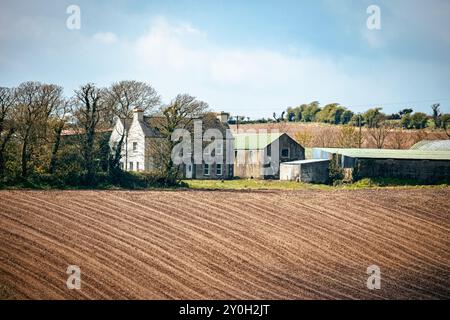 Une maison de deux étages avec un toit vert se trouve à côté d'un bâtiment plus grand avec un toit gris. Les deux bâtiments sont entourés d'un champ de terre labourée. Banque D'Images