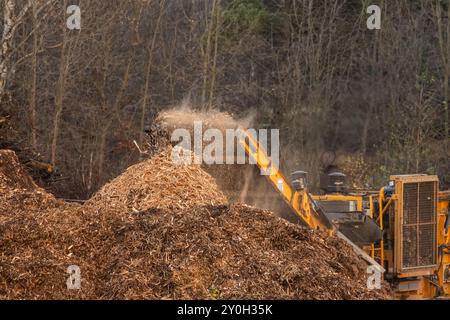 Göteborg, Suède - novembre 10 2022 : copeaux de bois déversés dans une pile par un grand broyeur de bois industriel Banque D'Images