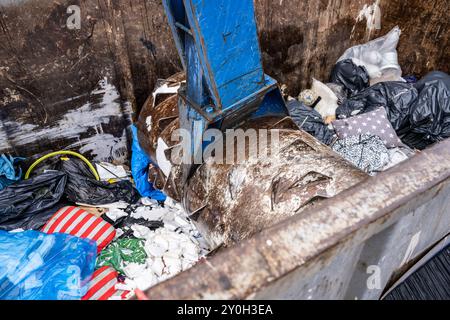 Gothenburg, Suède - 13 novembre 2022 : rouleau d'un compacteur de déchets comprimant les déchets dans un conteneur Banque D'Images