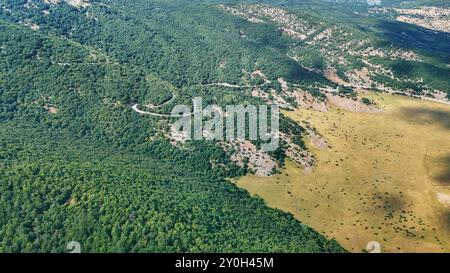 Route sinueuse coupant à travers un paysage forestier verdoyant et luxuriant Banque D'Images