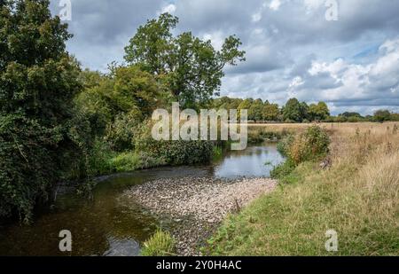 La petite rivière idyllique Arrow qui traverse la campagne près de Studley, Warwickshire, Angleterre. Banque D'Images