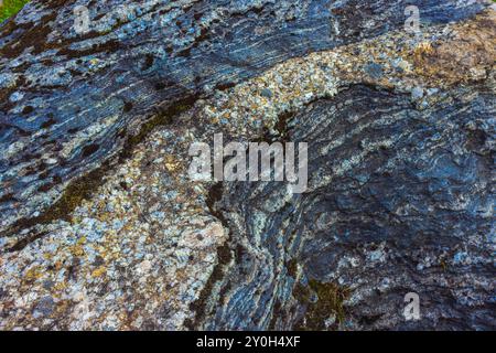 Exploration des motifs naturels abstraits trouvés sur les surfaces de pierre dans divers environnements Banque D'Images