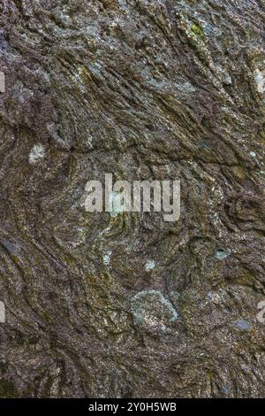 Exploration des motifs naturels abstraits trouvés sur les surfaces de pierre dans divers environnements Banque D'Images