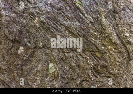 Exploration des motifs naturels abstraits trouvés sur les surfaces de pierre dans divers environnements Banque D'Images