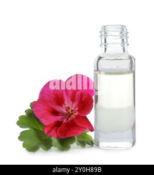 Huile essentielle de géranium en bouteille et belle fleur isolée sur blanc Banque D'Images