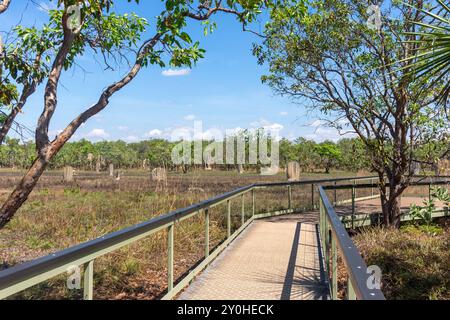 Passerelle vers Magnetic Termite Mounds (Nasutitermes triodiae), parc national de Litchfield, parc de Litchfield, territoire du Nord, Australie Banque D'Images