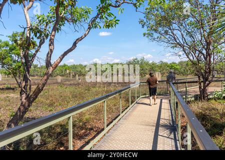 Passerelle vers Magnetic Termite Mounds (Nasutitermes triodiae), parc national de Litchfield, parc de Litchfield, territoire du Nord, Australie Banque D'Images