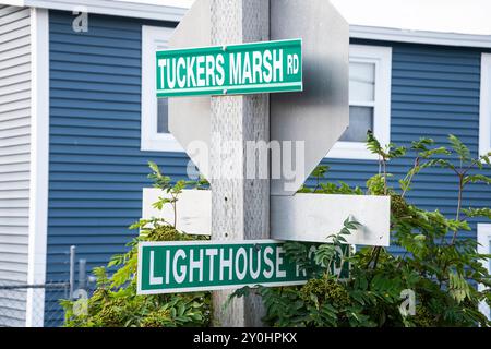 Panneaux routiers Tuckers Marsh Road et Lighthouse à Port de grave, Terre-Neuve-et-Labrador, Canada Banque D'Images