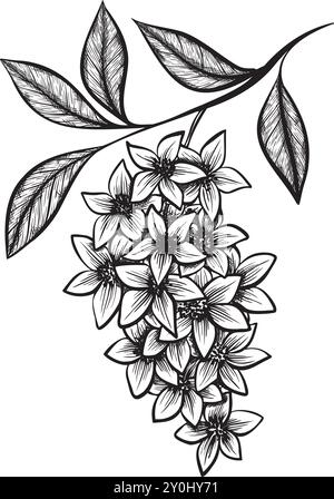 Dessin vectoriel détaillé à l'encre noire et blanche d'un amas floral avec des feuilles. Idéal pour les illustrations botaniques, les dessins de tatouage ou l'art décoratif Illustration de Vecteur