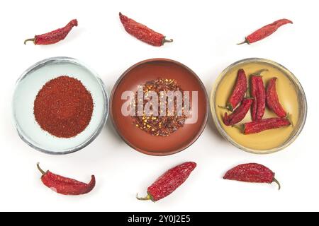 Une photo à plat de bols en bois avec des poivrons entiers, de la poudre de poivron rouge et des flocons de poivron rouge sur un fond blanc Banque D'Images