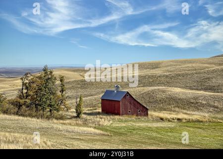 Une ancienne grange rouge se dresse dans un champ près de Moscou, Idaho, dans la région de palouse Banque D'Images